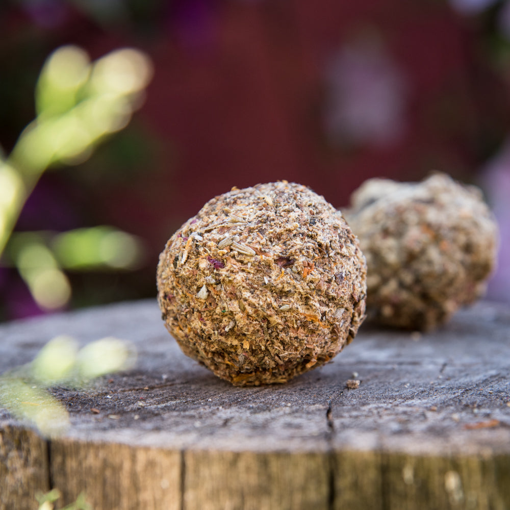 Bomba Herbal XL Purificación