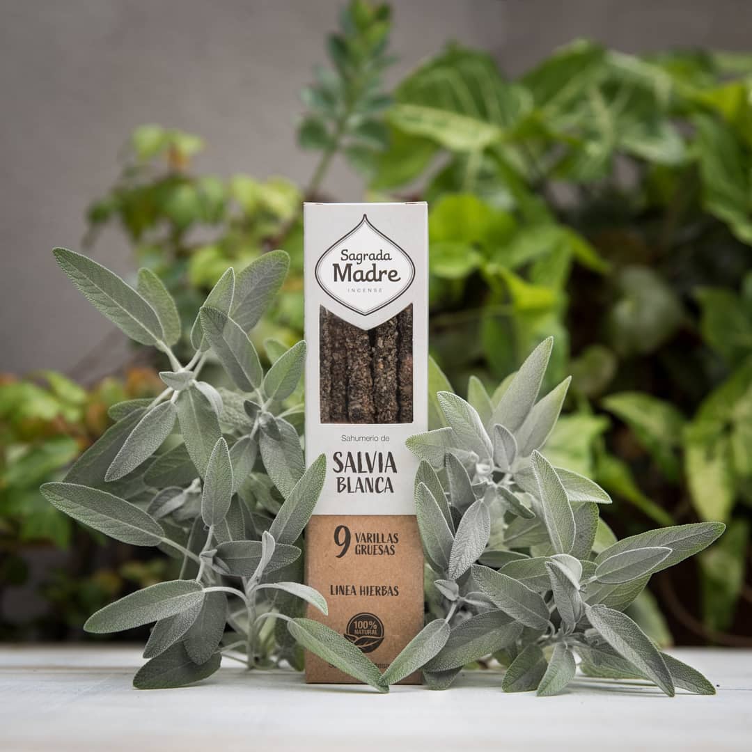 Sahumerio Salvia Blanca